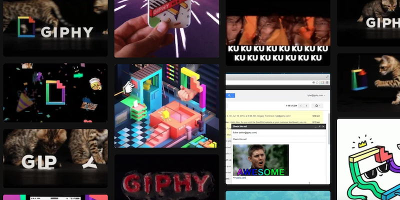 Uno screenshot di Giphy