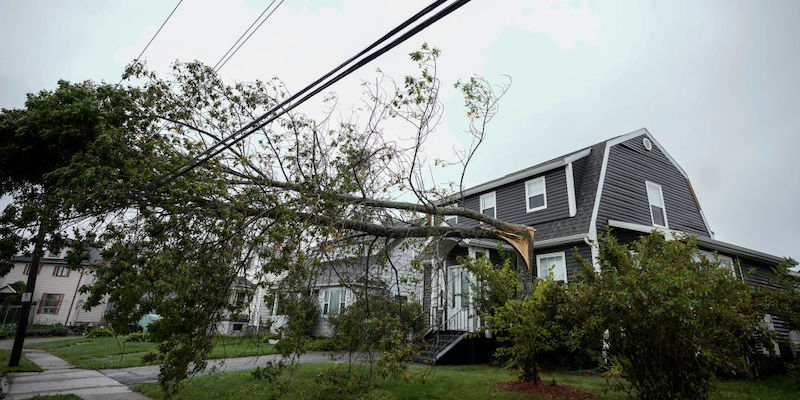 Un albero sradicato davanti a una casa di Sydney, in Nuova Scozia (Drew Angerer/ Getty Images)