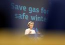 Il piano della Commissione europea per tenere sotto controllo il mercato del gas
