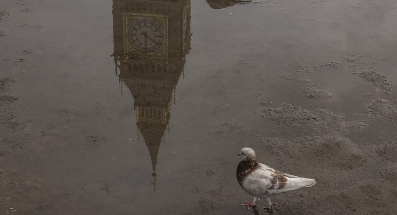 Il Big Ben visto in una pozzanghera a Londra, Regno Unito (Dan Kitwood/Getty Images)