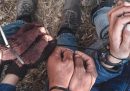 Medici senza frontiere ha denunciato di aver trovato a Lesbo, in Grecia, alcune persone migranti ammanettate e picchiate