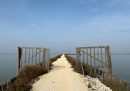 Valli di Comacchio 23-10-2022