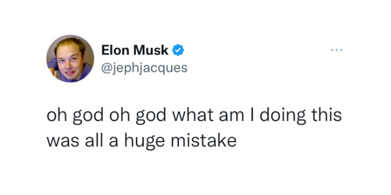 Gli account che stanno prendendo in giro Elon Musk per la spunta blu
