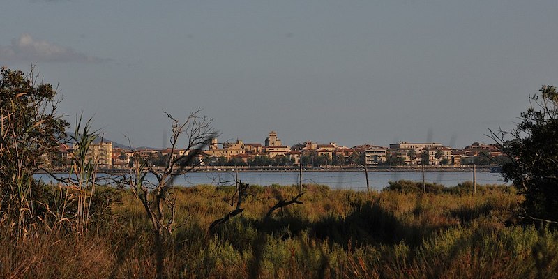 (Annalisa Perusi, Wikimedia Commons)
