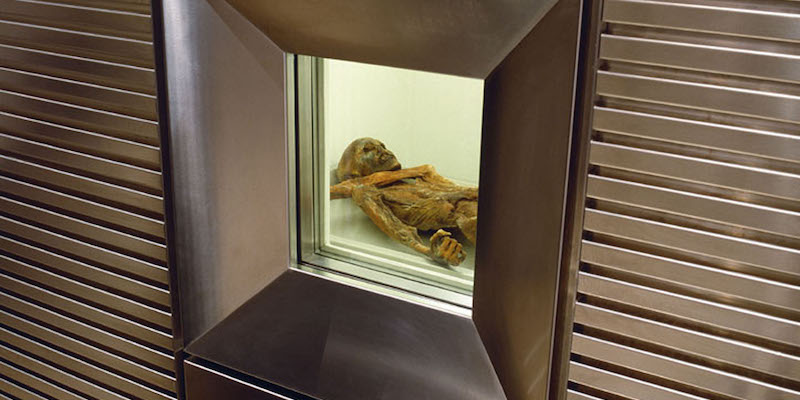 La mummia preistorica trovata nel ghiacciaio della Val Senales vista attraverso la finestrella che dà sulla sua stanza di conservazione a temperatura controllata, a Bolzano (ANSA/Museo Archeologico dell'Alto Adige)