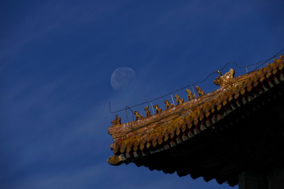 Domenica 13 novembre