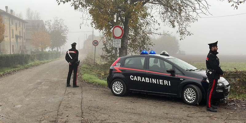 (ANSA/ Carabinieri, NPK)