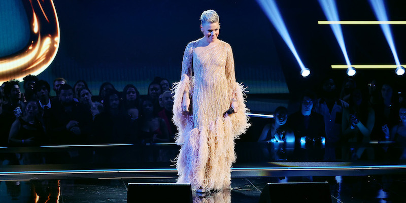 La cantante Pink (43) agli American Music Awards, Los Angeles, 20 novembre
(Matt Winkelmeyer/Getty Images)