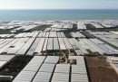 Nelle serre in provincia di Ragusa i diritti non esistono