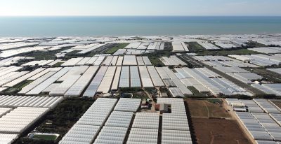 Nelle serre in provincia di Ragusa i diritti non esistono