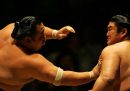 Le diffuse violenze e gli abusi nel sumo