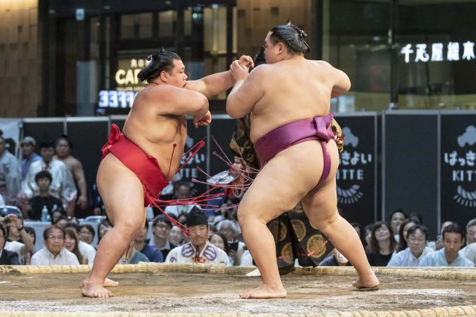 lottatori sumo
