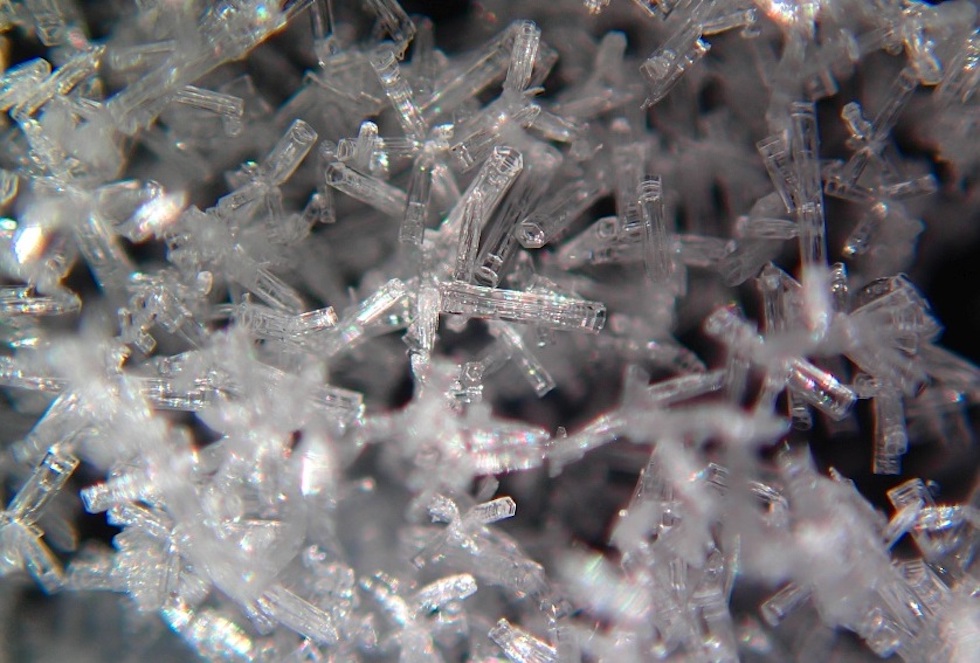 Cristalli di neve antartica ingranditi