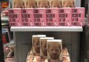 Le librerie che hanno accostato l'autobiografia del principe Harry al romanzo "Come uccidere la tua famiglia"