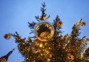 Gli alberi di Natale che in Svezia diventano rifugi subacquei per i pesci 