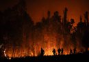 Un incendio boschivo a Puren, in Cile