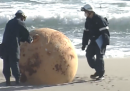 La polizia giapponese ha analizzato scrupolosamente una sfera metallica arrivata su una spiaggia