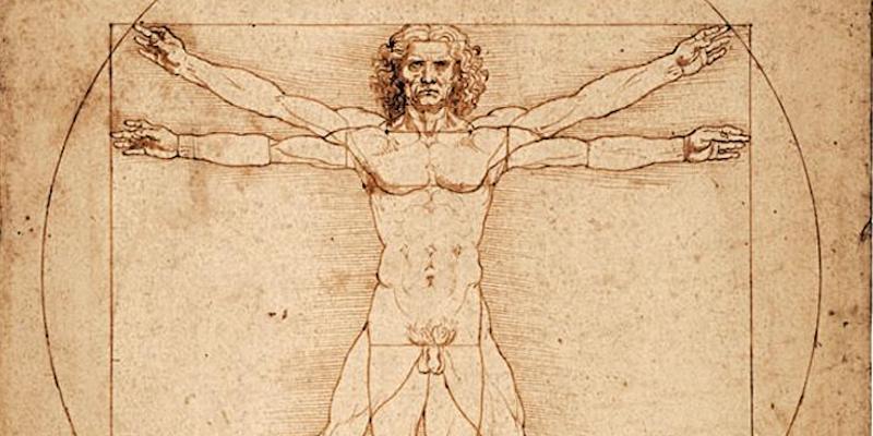 L'uomo vitruviano di Leonardo da Vinci (ANSA/ INTERNET)