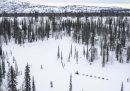 Le crisi dell'Iditarod
