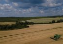 L'accordo per sbloccare il grano ucraino è stato esteso