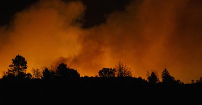 Circa 1.500 persone sono state evacuate a causa di un grande incendio boschivo vicino a Valencia, in Spagna