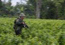 In Colombia 9 soldati sono stati uccisi da un gruppo di guerriglieri