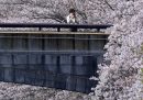 Tokyo, Giappone