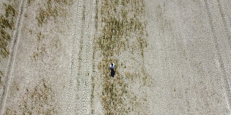 In Lombardia è stata rinviata l’irrigazione dei campi