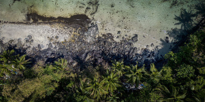La costa di un'isola delle Filippine coperta di petrolio, a seguito dell'incidente (Ezra Acayan/Getty Images)