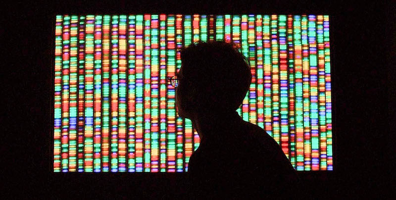 Una rappresentazione digitale del genoma umano (Mario Tama/Getty Images)