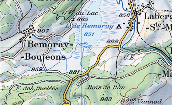 disegno di un pesce nella mappa svizzera