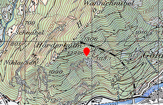 disegno di un volto nella mappa svizzera