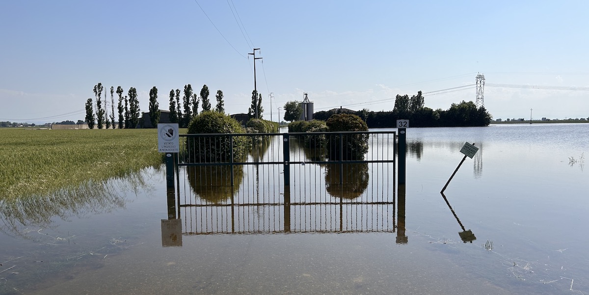 Un’azienda agricola allagata vicino all’argine destro del fiume Montone. (Angelo Mastrandrea/il Post)