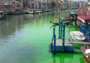 Le foto di Venezia con l'acqua verde fluo