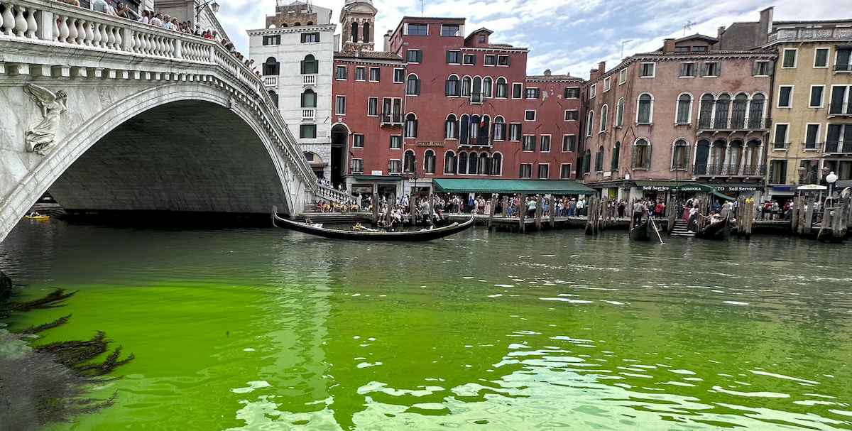 L'acqua verde fluo nei canali di Venezia