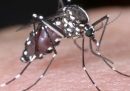 Le zanzare invasive continuano a espandersi in Europa
