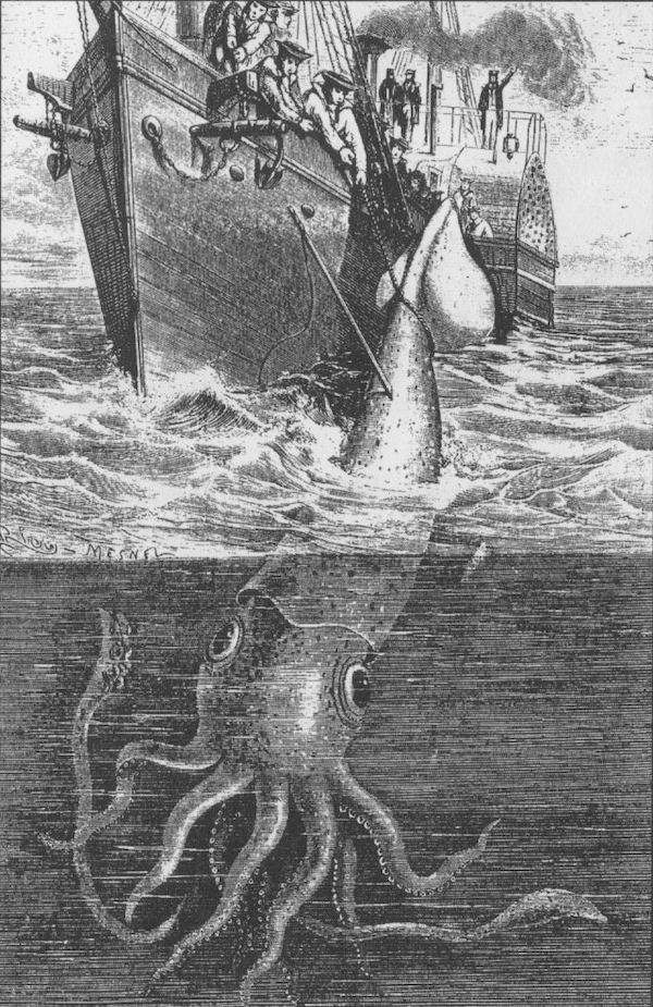 calamaro gigante 1866