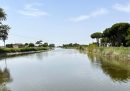 In Romagna si cerca di capire quanto inquinamento abbia lasciato l'alluvione