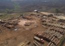 Il governo del Brasile ha annunciato che il tasso di deforestazione in Amazzonia si è ridotto di un terzo nei primi sei mesi del 2023