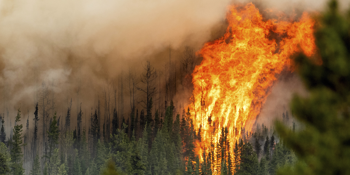 Photo of More and more serious fires are expected in Canada