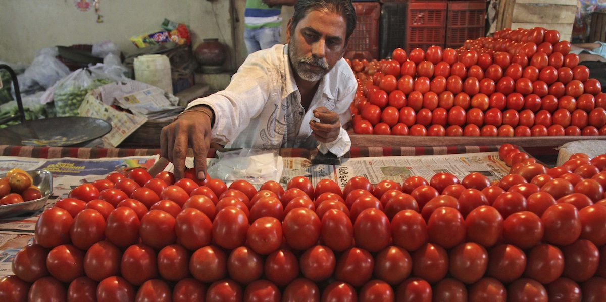 Un venditore nel mercato ortofrutticolo di Ahmedabad, in India (AP Photo/Ajit Solanki)