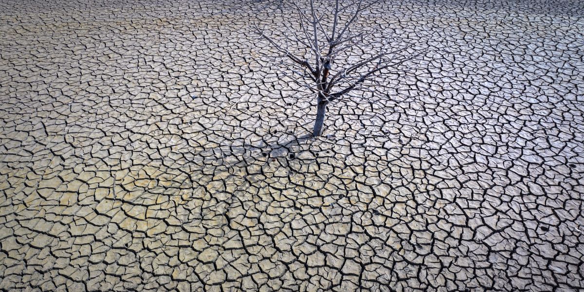 Effetti della siccità a nord di Barcellona, in Spagna, il 20 marzo 2023 (AP Photo/Emilio Morenatti)
