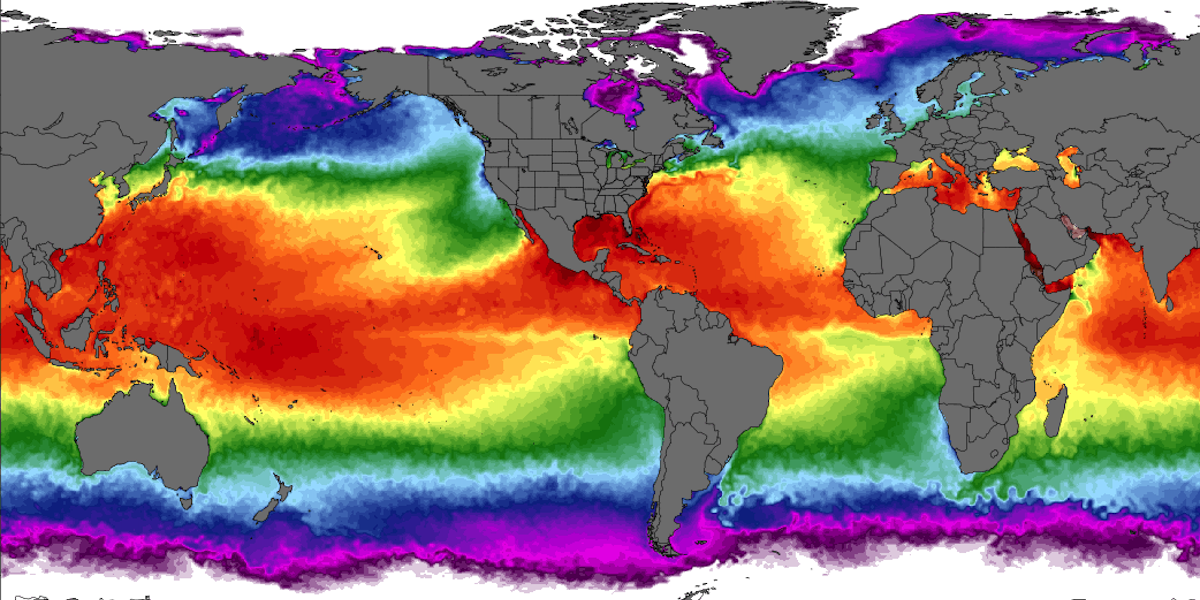 Le temperature superficiali medie degli oceani registrate il 24 luglio 2023 secondo i dati preliminari della NOAA; il rosso indica temperature intorno a 30 °C (Climate Reanalyzer)