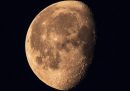 Quattro "capsule del tempo" saranno spedite sulla Luna