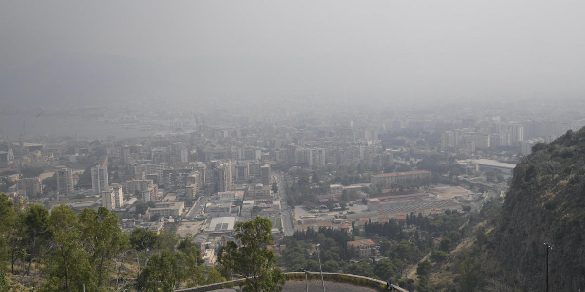 Il fumo sopra Palermo causato dagli incendi degli ultimi giorni (ANSA/Lucio Ganci)