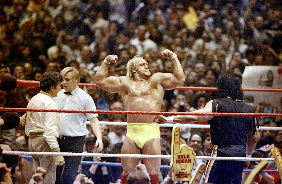 Hulk Hogan - Figure 5