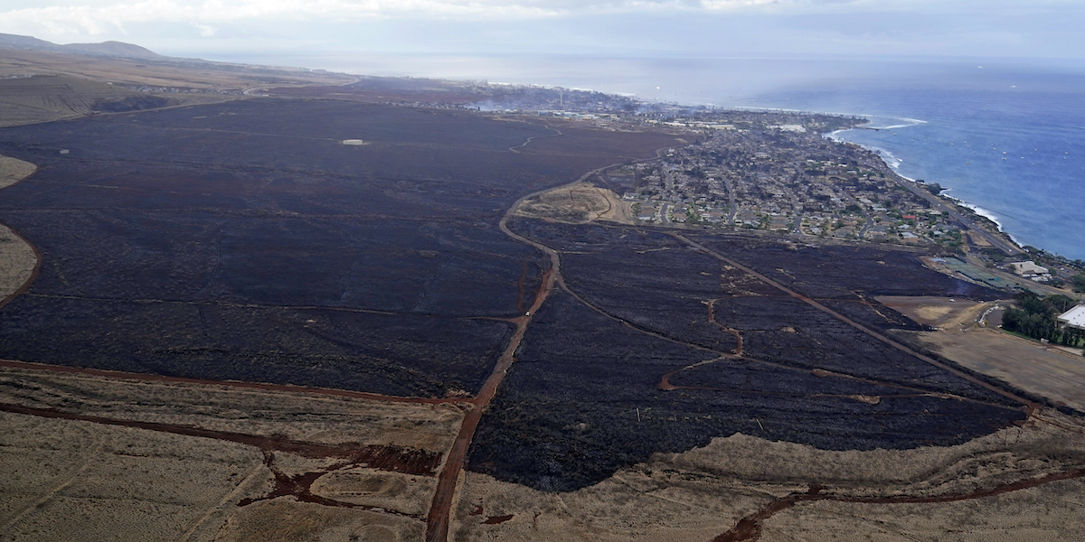La vegetazione bruciata attorno a Lahaina, sull'isola di Maui, il 10 agosto 2023 (AP Photo/Rick Bowmer, LaPresse)