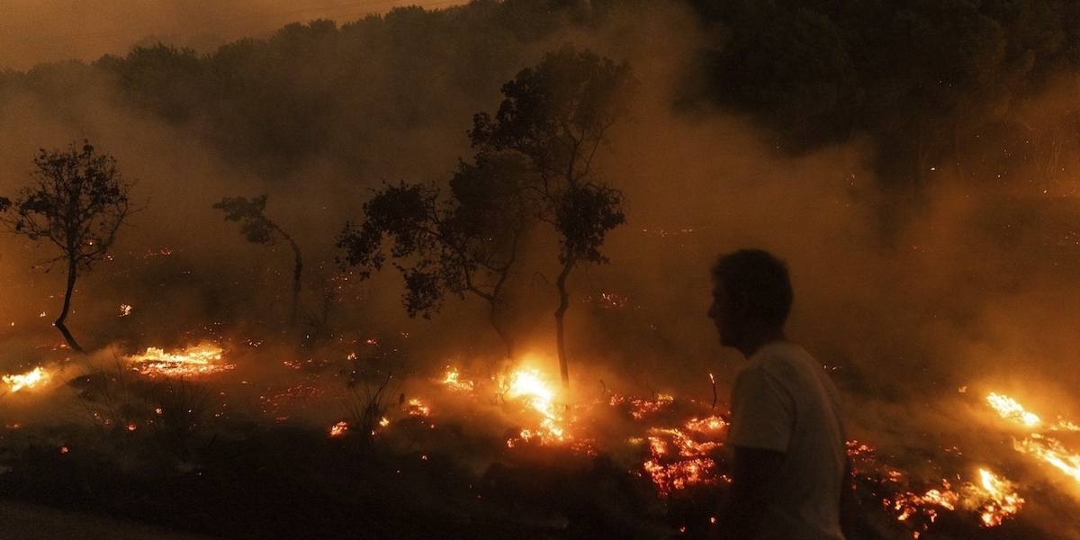 Un bosco in fiamme a Dikela, vicino ad Alessandropoli, il 22 agosto 2023 (AP Photo/Achilleas Chiras)