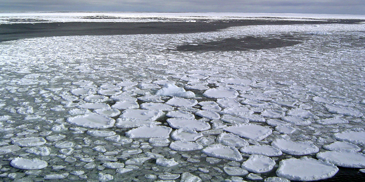 Banchisa nel mare di Ross, in Antartide, nel gennaio del 2017 (Ted Scambos/National Snow and Ice Data Center via AP, File, LaPresse)