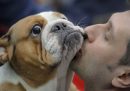 Baciare gli animali domestici è rischioso?
